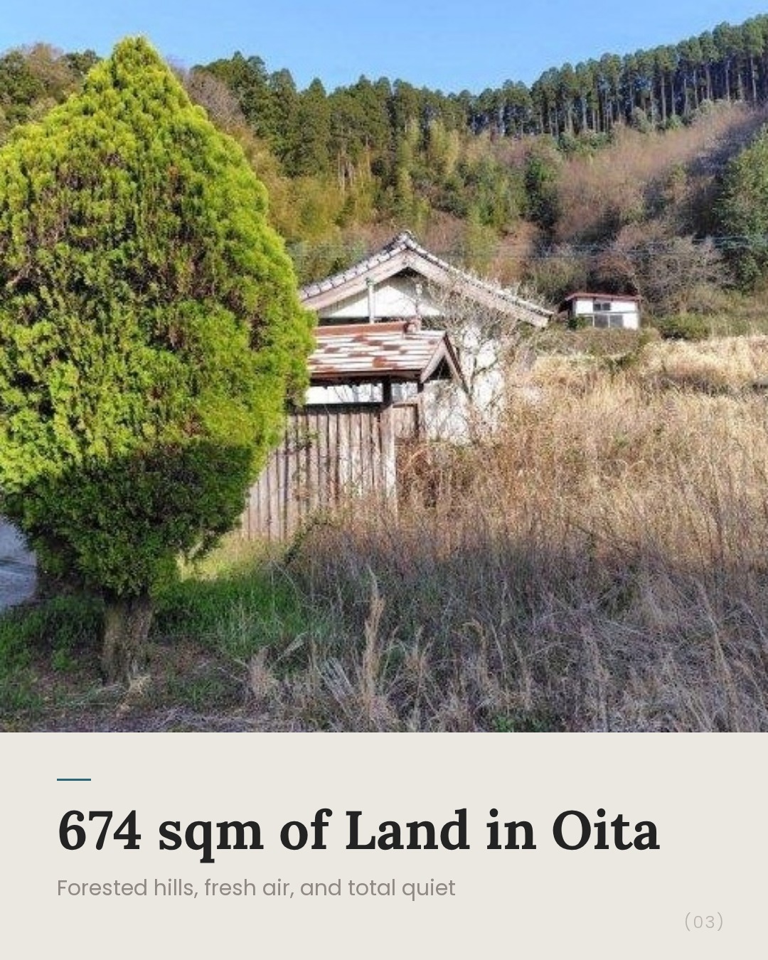 Slide 3