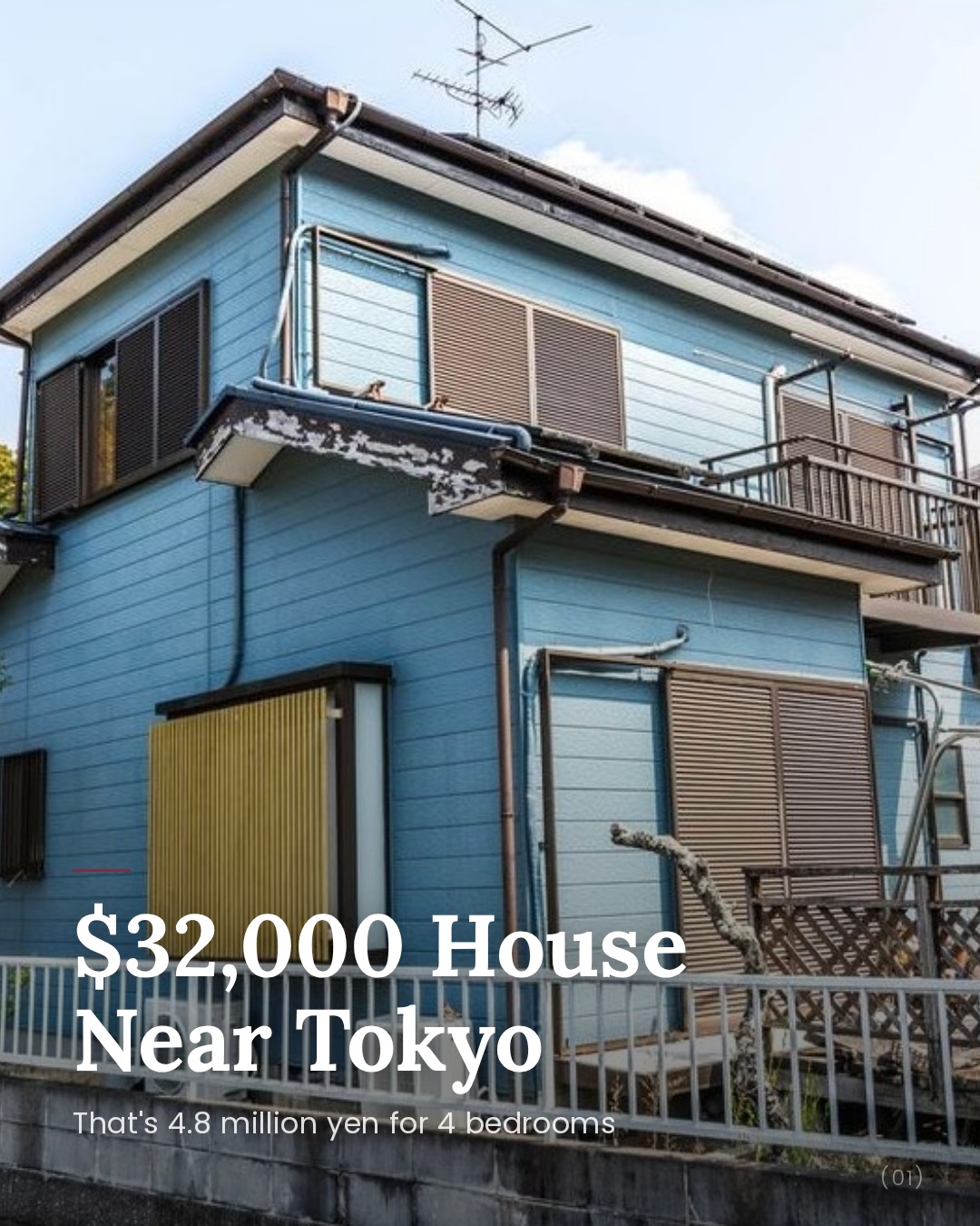 Forest — ¥4.8 million