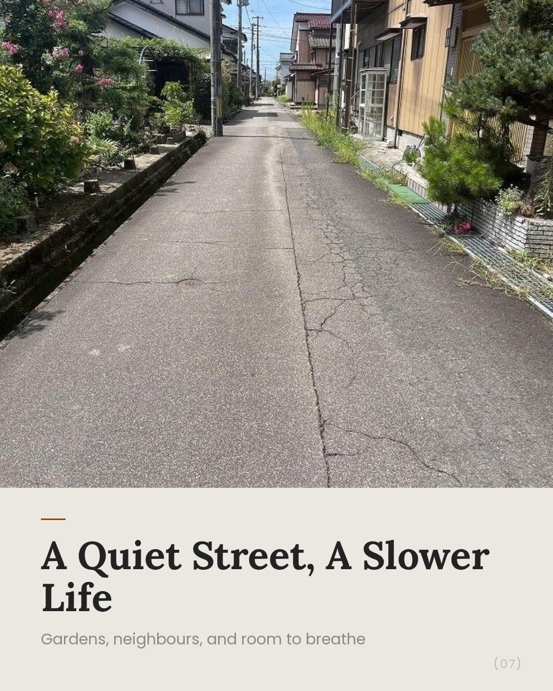 Slide 7